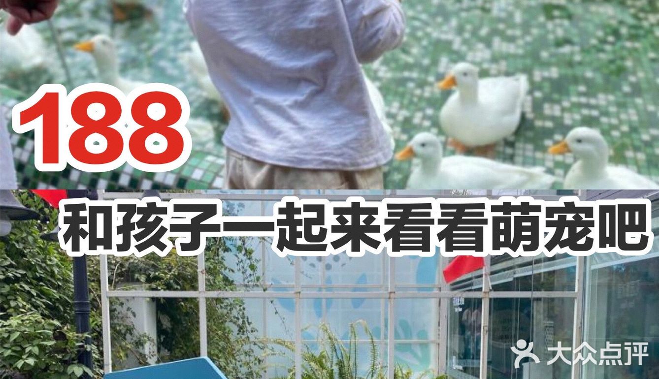 这种高度、这种角度，与传统滑梯相比