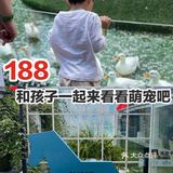 这种高度、这种角度，与传统滑梯相比