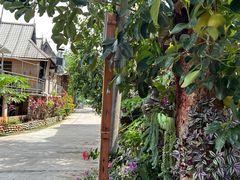 -西双版纳傣族园