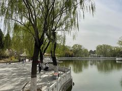 -丰台花园