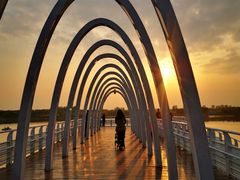 -大兴滨河森林公园