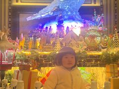 -上海和平饭店 Fairmont Peace Hotel