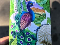 -西双版纳原始森林公园