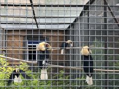 -新疆天山野生动物园