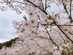 -苏州上方山国家森林公园