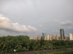 -万绿园