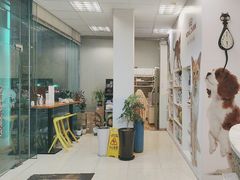 -瑞派申生动物医院·24H夜诊·国际动物医疗中心·骨外科(吴中路店)