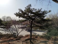 -北京西山国家森林公园