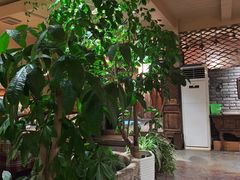 -慢丽江·云南野生菌土鸡锅(付家庄店)
