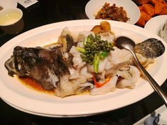 青花椒蒸龙胆鱼-闽和南(深圳万象城店)