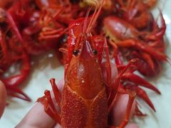 -旺旺龙虾(凤城六路店)