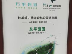 -羚羊峡古栈道森林公园