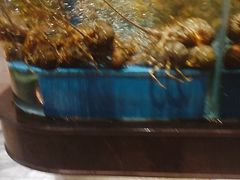 -阿伟海鲜楼·福建菜(延寿店)