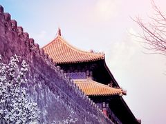 -东华门大街小区