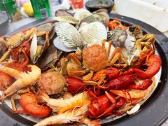 -秦皇岛野生动物园
