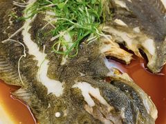 清蒸多宝鱼-雅园大酒楼(东门店)