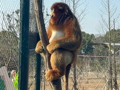 -宁波野生动物园