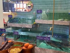 -鱼你相聚·河鲜馆(袁家岭店)