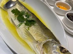 -羲和雅苑•北京烤鸭(国贸商城店)