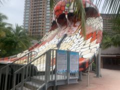 -亚马逊丛林水乐园