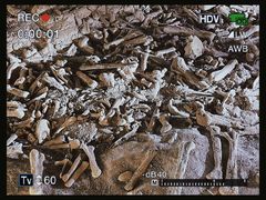 -二连浩特国家地质公园
