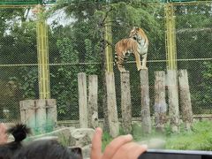 -上海野生动物园