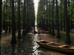 -渌洋湖湿地公园