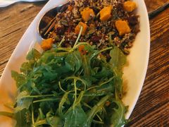-Boxing Cat Brewery拳击猫精酿啤酒馆(永福店)