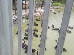 -新疆天山野生动物园