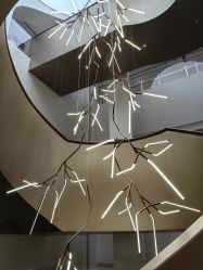 -广州美莱医疗美容医院