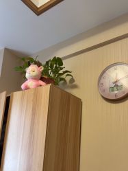 -Dr.林醫生产后修复·配方产康(南京江宁万达店)