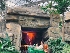 -南宫五洲植物乐园