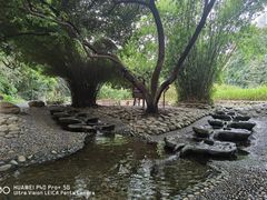 -成都市活水公园