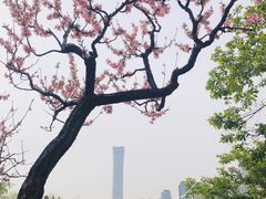 -团结湖公园
