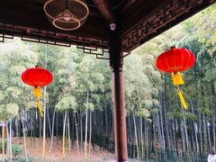 -树山生态村