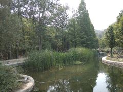 -白水寺森林公园