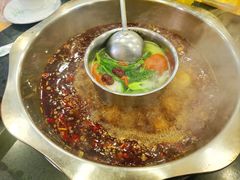 -金鼎雪山牦牛杂火锅(理县总店)