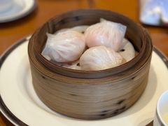 -广州富力君悦大酒店空中花园