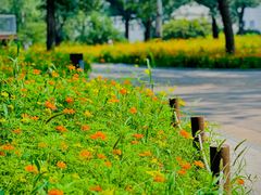 -国家植物园