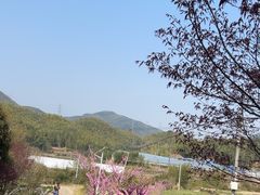 -宁波浙东大竹海景区