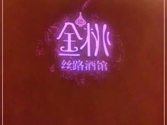 -丝路金桃·新疆菜(徐汇店)