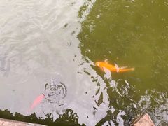 -珠海圆明新园