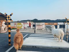 -Blue Concept Cafe&Farm·關於藍