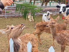 -丹樱生态园