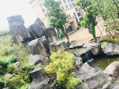 -江南天池
