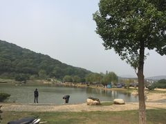 -龙寺生态园
