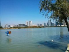 -天鹅湖体育公园