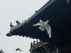 -隆兴寺