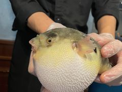-肆月河豚·新淮扬(金融街店)