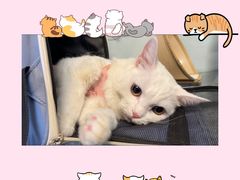 -美联众合动物医院·24h京西诊疗中心
